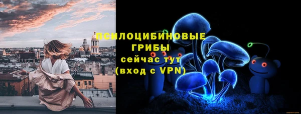 таблы Алексин