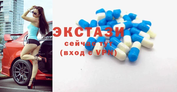 гидра Алексеевка