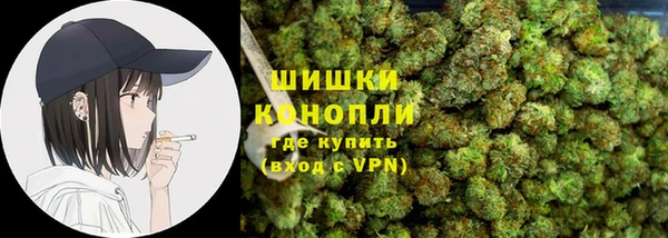 гидра Алексеевка