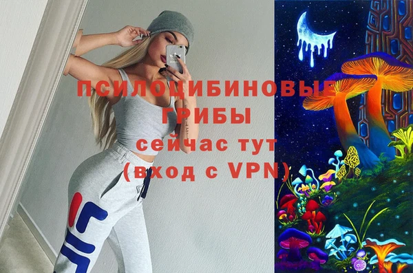 таблы Алексин