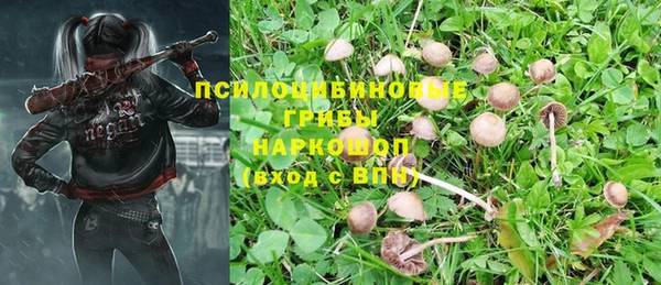 гидра Алексеевка