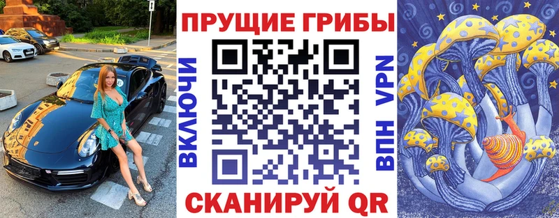 купить наркотики сайты  Тайшет  кракен маркетплейс  Псилоцибиновые грибы мицелий 